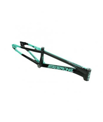 Cuadro BMX Race Stay Strong...